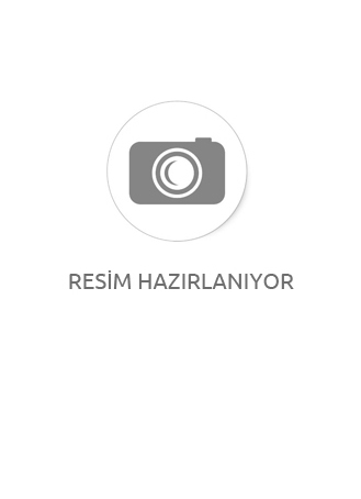 Function Fonksiyonlu Füme Renk 3 Atm Su Geçirmez Çelik Kordon Erkek Kol Saati